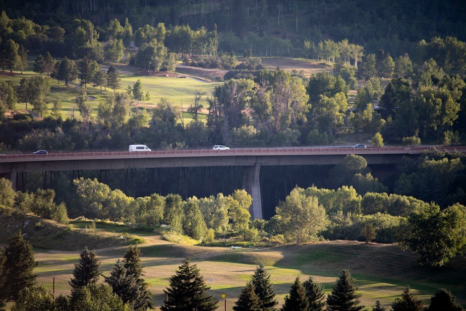 RCA pe o lună / sezon: există și merită?