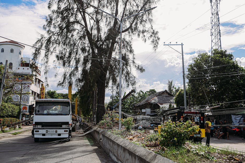 Accidente cu trotinete în România: ce arată statisticile și de ce a apărut RCA